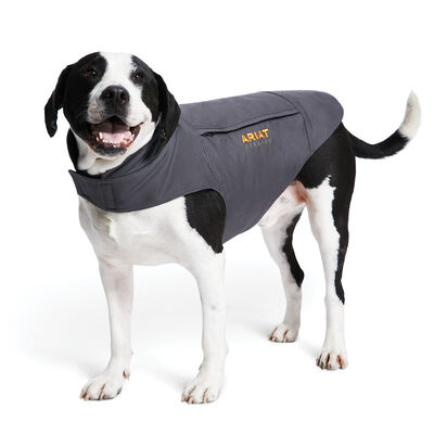 Rebar DuraCanvas Insulated Dog Jacket